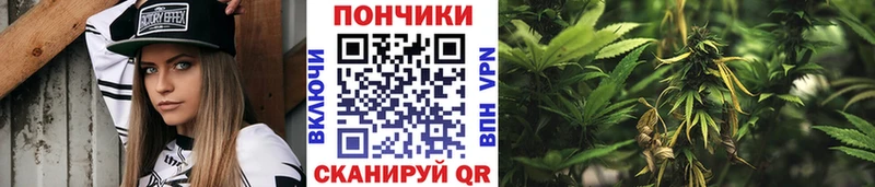 Шишки марихуана Amnesia  Купить  Олонец 